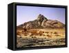 Algeria, Sahara, Rock Desert, Vegetation, Meager, Grasses, Shrubs-Thonig-Framed Stretched Canvas