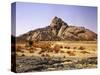 Algeria, Sahara, Rock Desert, Vegetation, Meager, Grasses, Shrubs-Thonig-Stretched Canvas