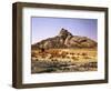 Algeria, Sahara, Rock Desert, Vegetation, Meager, Grasses, Shrubs-Thonig-Framed Photographic Print