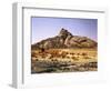 Algeria, Sahara, Rock Desert, Vegetation, Meager, Grasses, Shrubs-Thonig-Framed Photographic Print