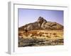 Algeria, Sahara, Rock Desert, Vegetation, Meager, Grasses, Shrubs-Thonig-Framed Photographic Print