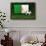 Algeria Soccer-badboo-Framed Art Print displayed on a wall