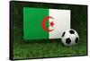 Algeria Soccer-badboo-Framed Stretched Canvas