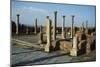 Algeria, Timgad, Roman Colonial Town Founded by the Emperor Trajan around 100 A.D.-null-Mounted Giclee Print