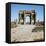 Algeria, Timgad, Thamugadi, Arch of Trajan at Ancient Roman Town-null-Framed Stretched Canvas