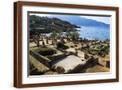 Brown Frame