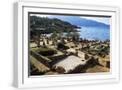 White Frame