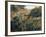 Algerian Landscape: the Ravine De La Femme Savage-Pierre-Auguste Renoir-Framed Art Print