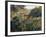 Algerian Landscape: the Ravine De La Femme Savage-Pierre-Auguste Renoir-Framed Art Print