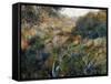 Algerian Landscape: the Ravine De La Femme Savage-Pierre-Auguste Renoir-Framed Stretched Canvas