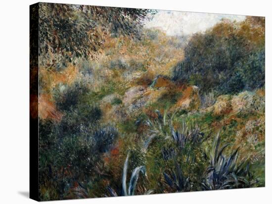 Algerian Landscape: the Ravine De La Femme Savage-Pierre-Auguste Renoir-Stretched Canvas