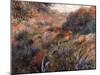 Algerian Landscape-Pierre-Auguste Renoir-Mounted Giclee Print