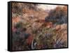 Algerian Landscape-Pierre-Auguste Renoir-Framed Stretched Canvas