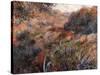 Algerian Landscape-Pierre-Auguste Renoir-Stretched Canvas