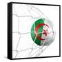 Algerian Soccer Ball in a Net-zentilia-Framed Stretched Canvas