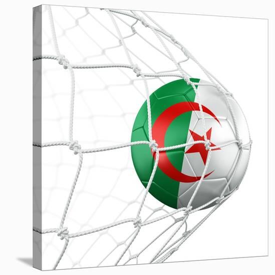 Algerian Soccer Ball in a Net-zentilia-Stretched Canvas