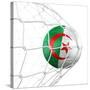 Algerian Soccer Ball in a Net-zentilia-Stretched Canvas