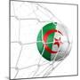 Algerian Soccer Ball in a Net-zentilia-Mounted Premium Giclee Print