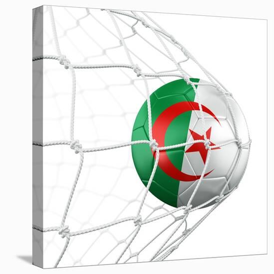 Algerian Soccer Ball in a Net-zentilia-Stretched Canvas