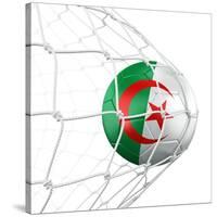 Algerian Soccer Ball in a Net-zentilia-Stretched Canvas