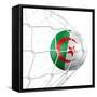 Algerian Soccer Ball in a Net-zentilia-Framed Stretched Canvas