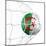 Algerian Soccer Ball in a Net-zentilia-Mounted Art Print