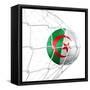 Algerian Soccer Ball in a Net-zentilia-Framed Stretched Canvas