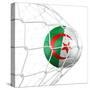 Algerian Soccer Ball in a Net-zentilia-Stretched Canvas