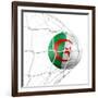 Algerian Soccer Ball in a Net-zentilia-Framed Art Print