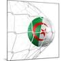 Algerian Soccer Ball in a Net-zentilia-Mounted Art Print
