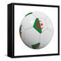 Algerian Soccer Ball-badboo-Framed Stretched Canvas