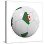 Algerian Soccer Ball-badboo-Stretched Canvas