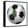 Algerian Soccer Ball-badboo-Framed Stretched Canvas