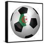 Algerian Soccer Ball-badboo-Framed Stretched Canvas