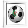 Algerian Soccer Ball-badboo-Framed Premium Giclee Print