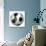 Algerian Soccer Ball-badboo-Art Print displayed on a wall