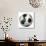 Algerian Soccer Ball-badboo-Art Print displayed on a wall