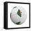 Algerian Soccer Ball-badboo-Framed Stretched Canvas