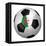 Algerian Soccer Ball-badboo-Framed Stretched Canvas