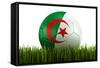 Algerian Soccerball Lying in Grass-zentilia-Framed Stretched Canvas