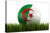 Algerian Soccerball Lying in Grass-zentilia-Stretched Canvas