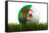 Algerian Soccerball Lying in Grass-zentilia-Framed Stretched Canvas