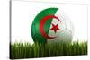 Algerian Soccerball Lying in Grass-zentilia-Stretched Canvas