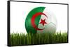 Algerian Soccerball Lying in Grass-zentilia-Framed Stretched Canvas