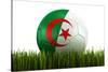 Algerian Soccerball Lying in Grass-zentilia-Stretched Canvas