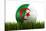 Algerian Soccerball Lying in Grass-zentilia-Stretched Canvas