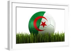 Algerian Soccerball Lying in Grass-zentilia-Framed Art Print