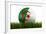 Algerian Soccerball Lying in Grass-zentilia-Framed Art Print