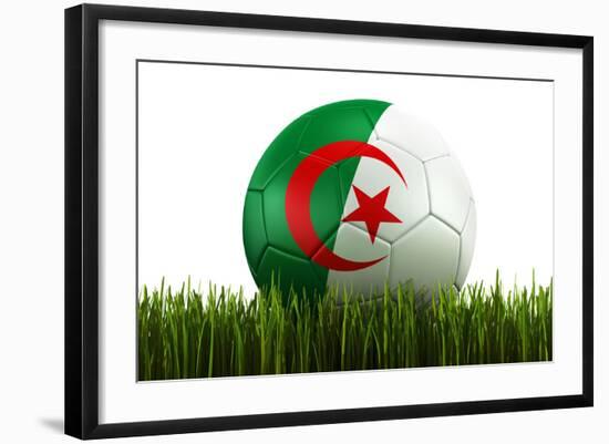 Algerian Soccerball Lying in Grass-zentilia-Framed Art Print