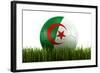 Algerian Soccerball Lying in Grass-zentilia-Framed Art Print